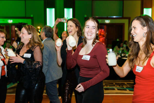 An Interactive Festive Feast - Image 7